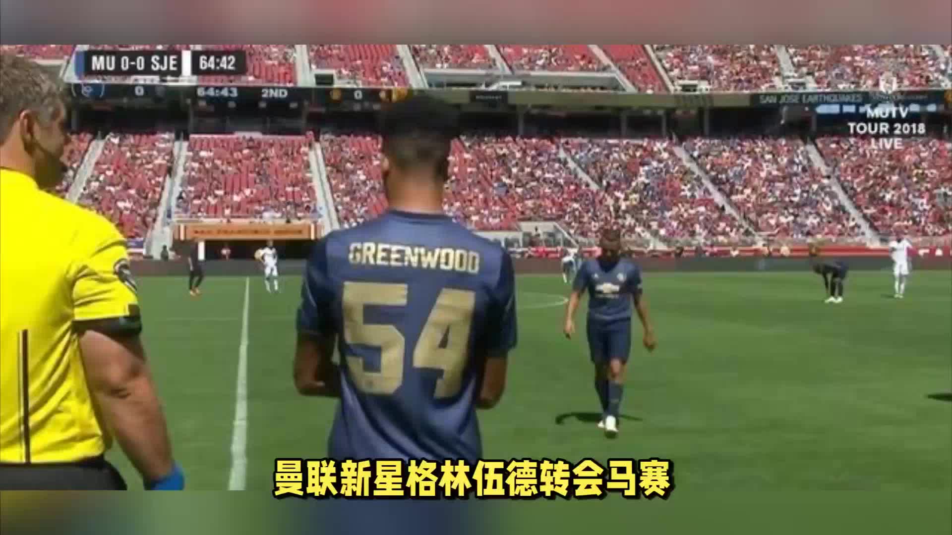 样化