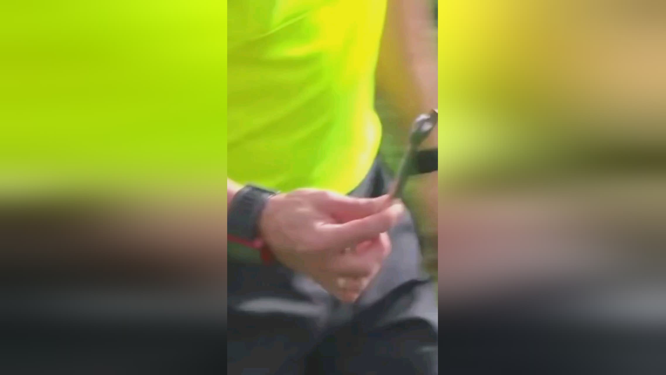詹姆斯