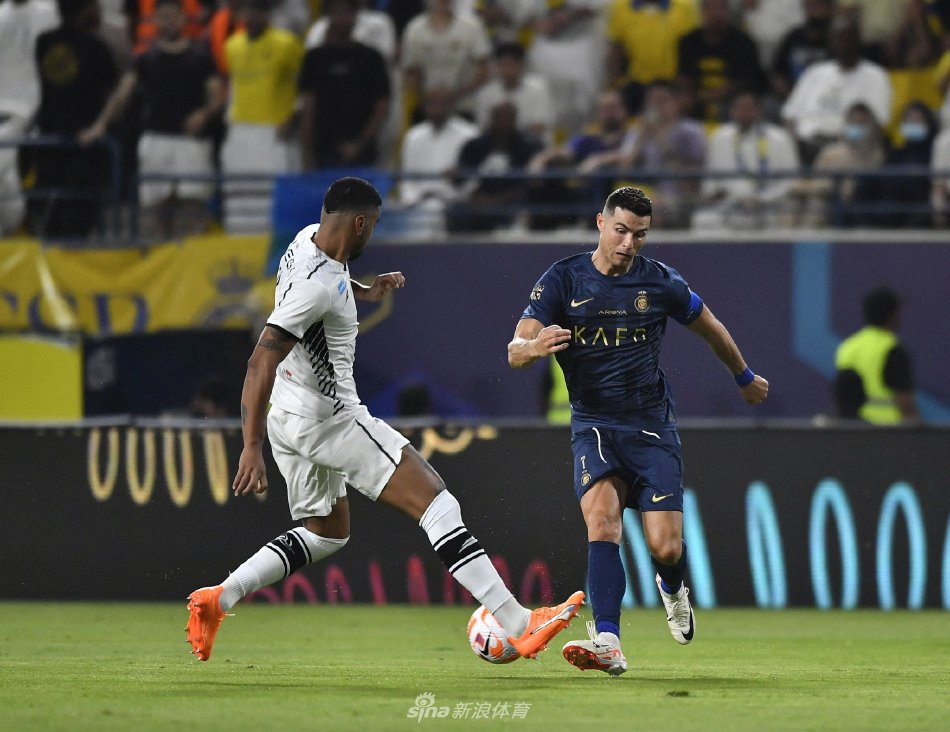 的视野中 的视野中